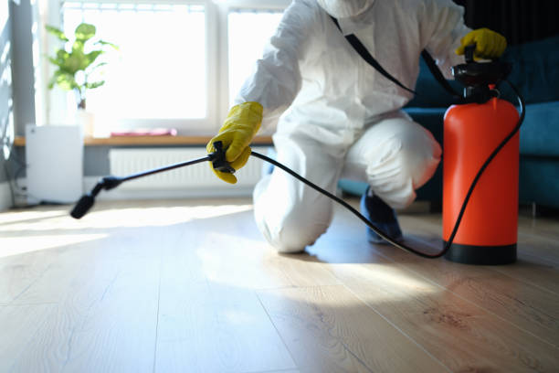 Reliable Odor Removal contractor in Cresskill, NJ by Trauma Clean Pros